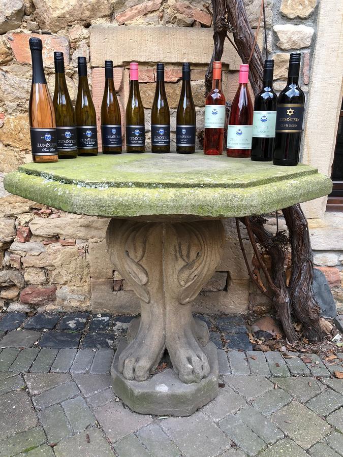 Weingut Zumstein Ξενοδοχείο Bad Dürkheim Εξωτερικό φωτογραφία